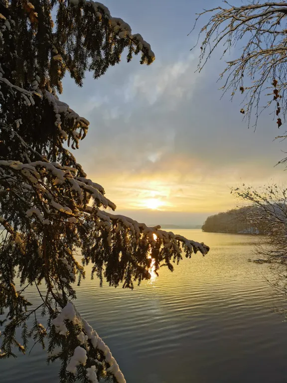 Коттедж Гостевой дом Дельфин — Можайск