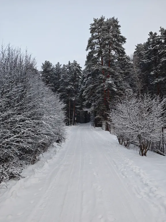 Коттедж Уютный домик на берегу реки — Тверь
