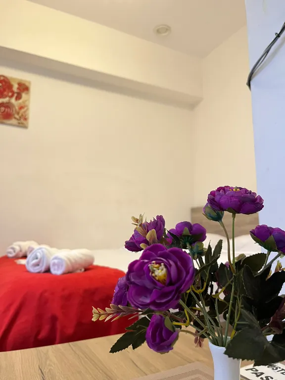 Студио в центре города