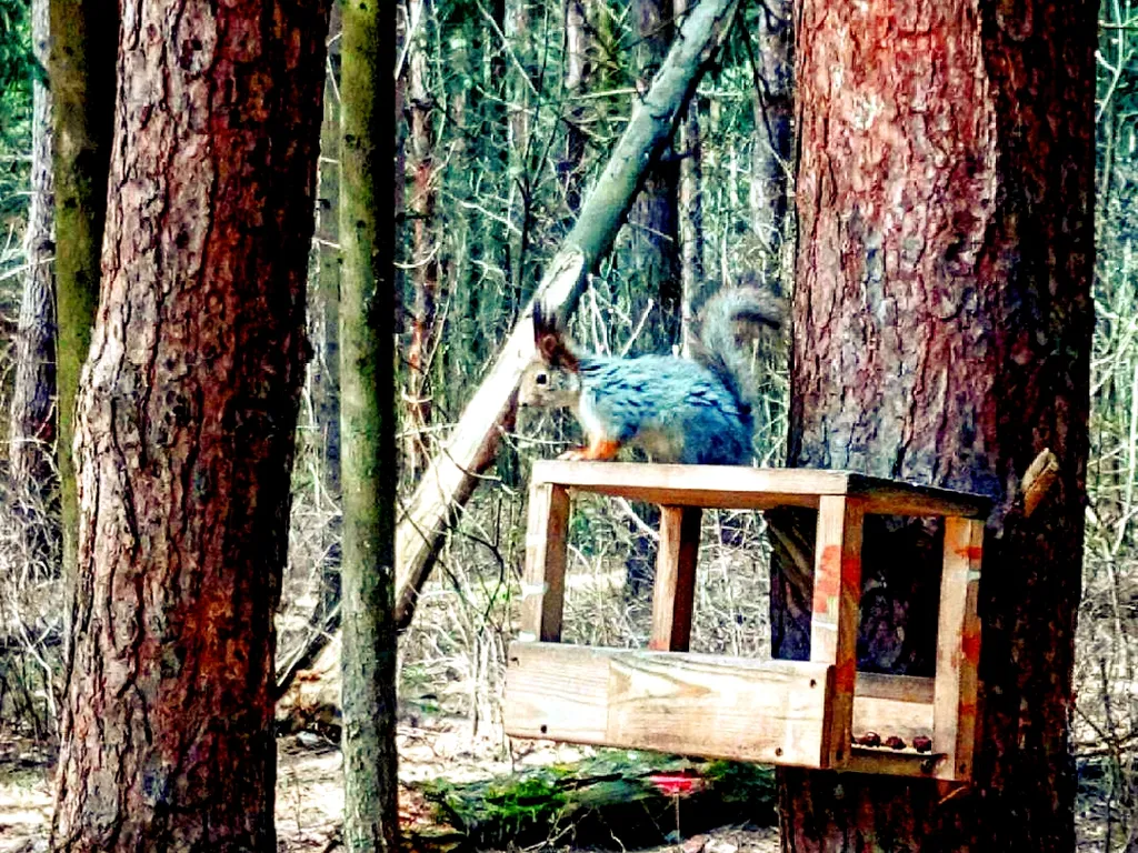 Апартаменты в восточном стиле у леса и озера