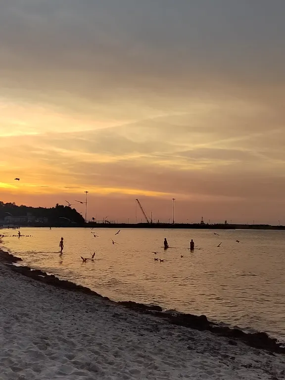 Квартира Квартира студия с видом на звезды на первой линии моря — Пионерский