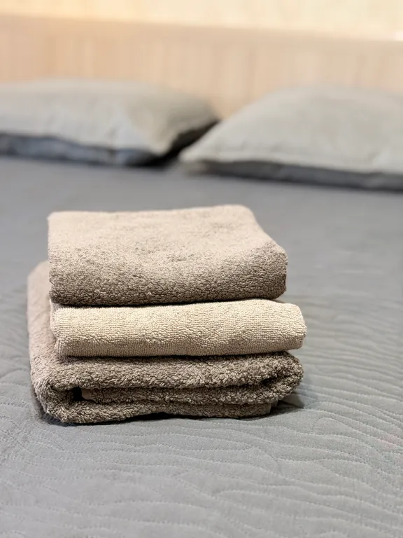 1-комнатная Квартира — аренда посуточно в Псков