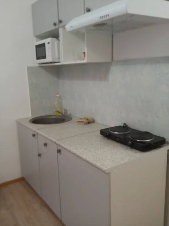 Уютная студия в центре города