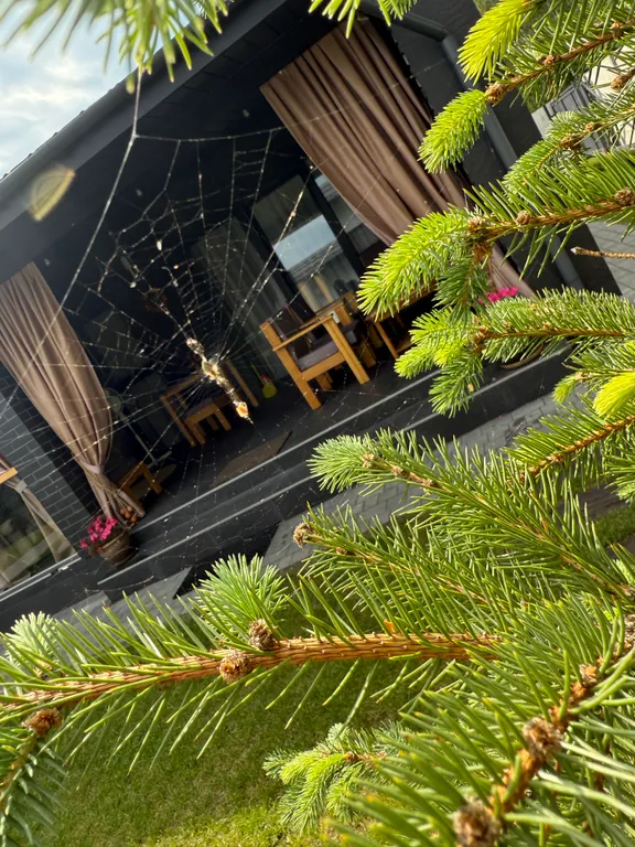 Коттедж белая береза