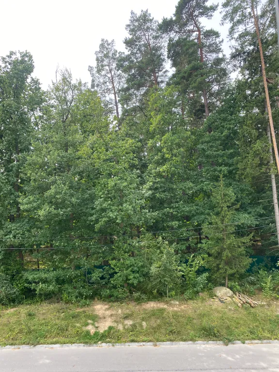 Квартира Уютная квартира на Балтике у соснового леса — Светлогорск