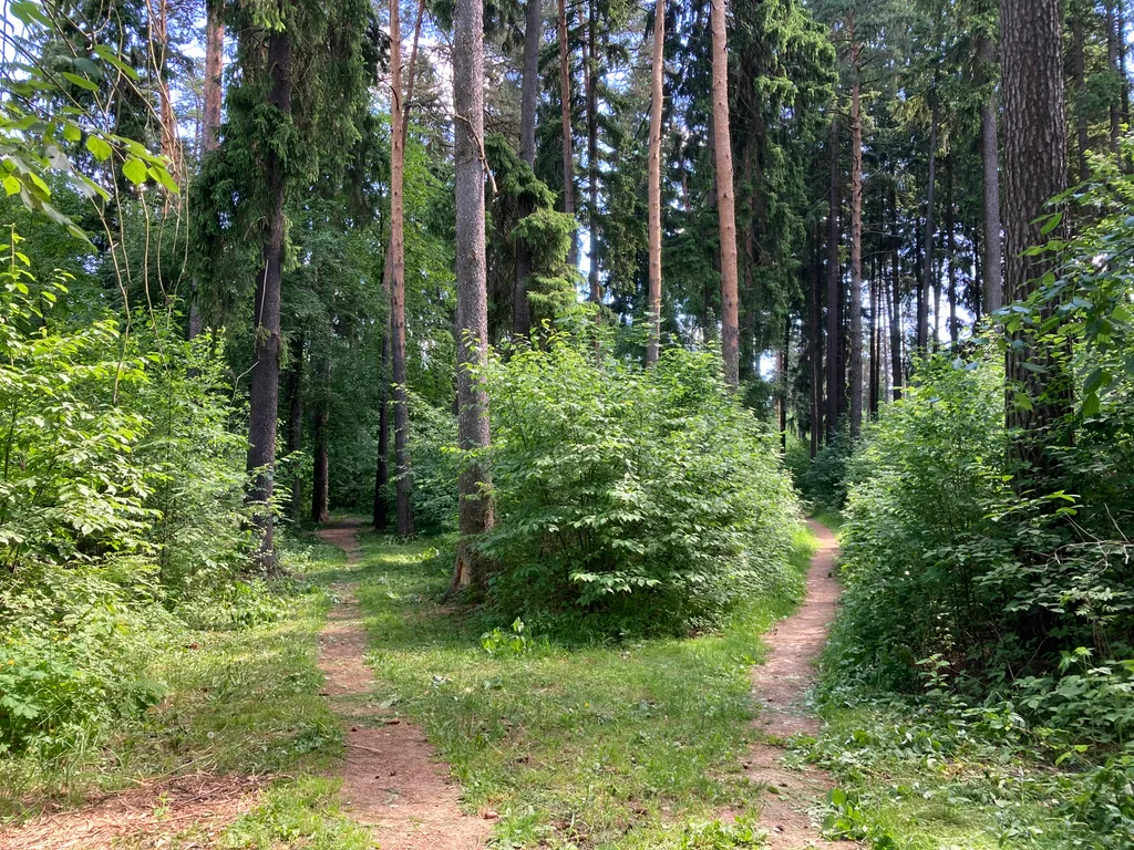 Барнхаус с баней