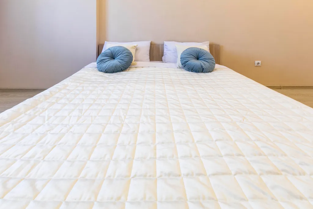 Евродвушка возле м. Ботаническая для 4х гостей