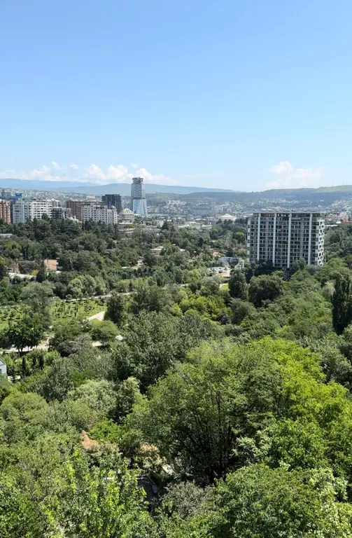 Просторная и светлая квартира у парка Мзиури