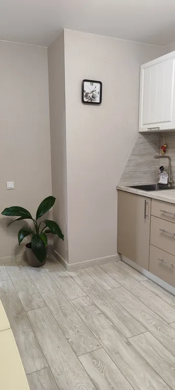 1-комнатная квартира с отдельной кухней