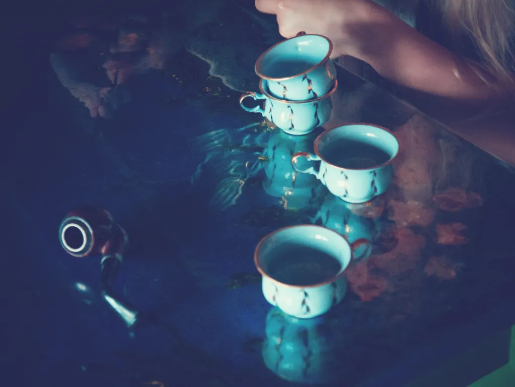 Три галки с мансардой