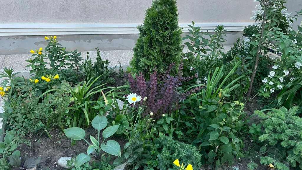 Уютная комната во дворе частного дома