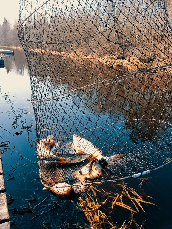 Коттедж Треугольный коттедж на берегу реки Лава — Ручьи