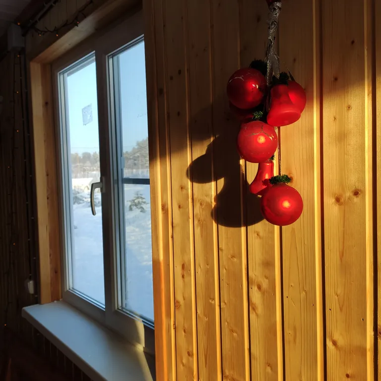 Коттедж Дом с террасой прямо на берегу реки — Торфяное