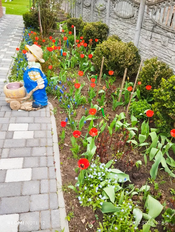 Мечта туриста