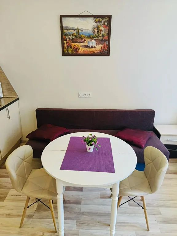 Квартира «Уютная квартира» От  метро 5 мин. — Санкт-Петербург