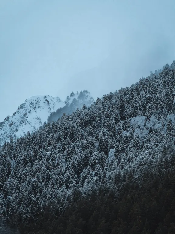 Коттедж Уютный эко-домик с видом на горы — Архыз