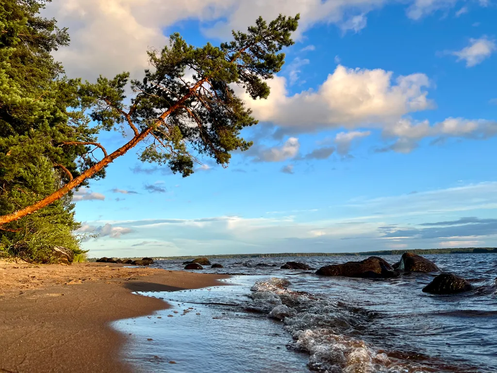 Коттедж Уютный домик на озере Волго на Селигере в сосновом бору — Турбаза Чайка
