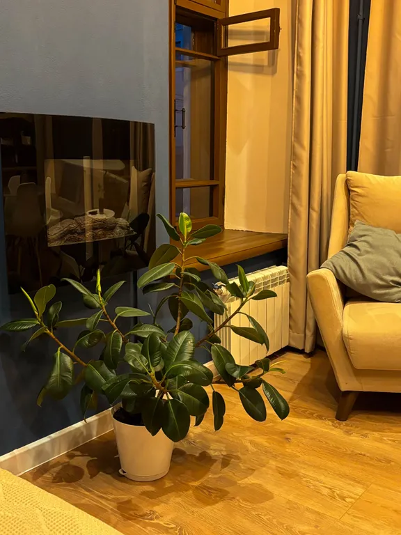 Квартира с отдельной спальней в центре