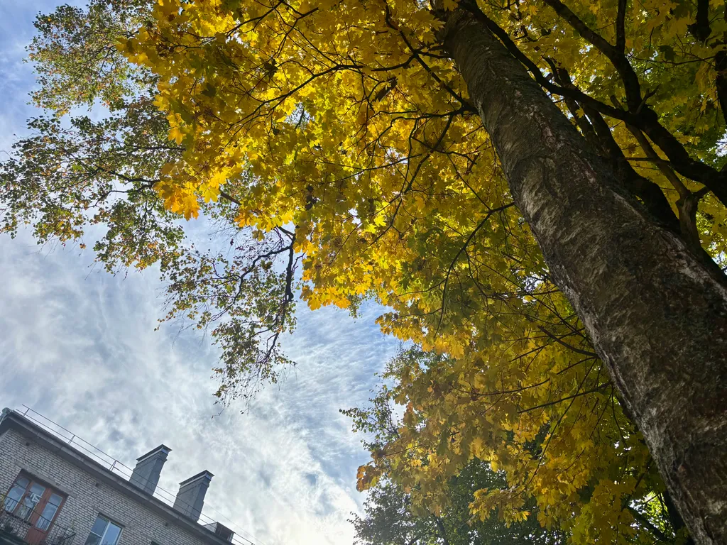 Апартаменты Благодать