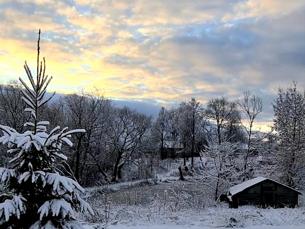 Дом на семи прудах