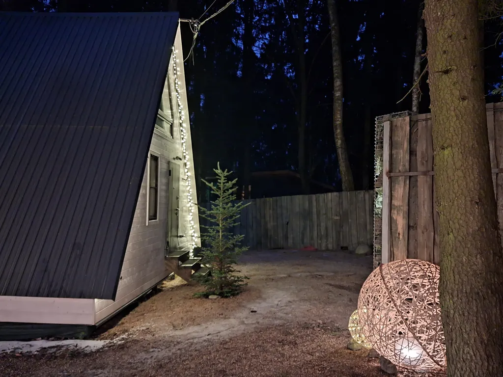 Дом Hamster в хвойном лесу у Большой воды