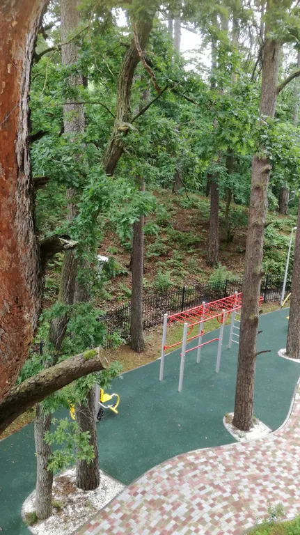 Студия в Сосновом бору