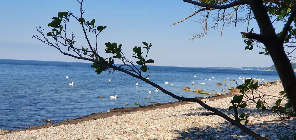 Загородный дом Филино с сауной, садом и барбекю