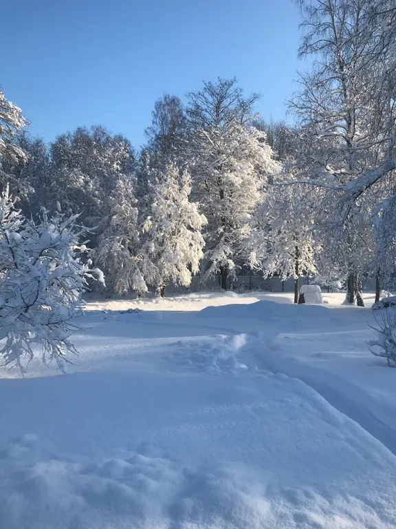 Коттедж Домик у лесного озера — Приозерск