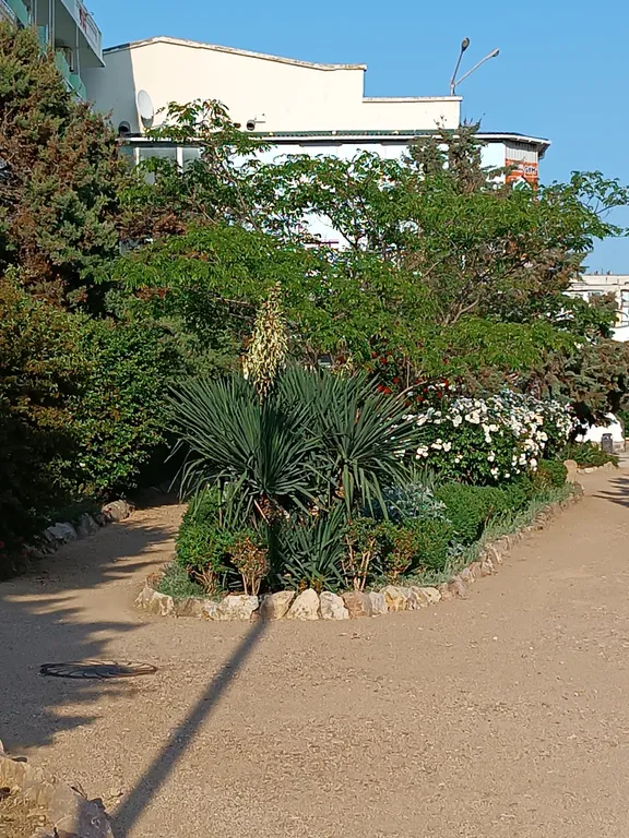 Видовые апартаменты