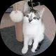 Евгений