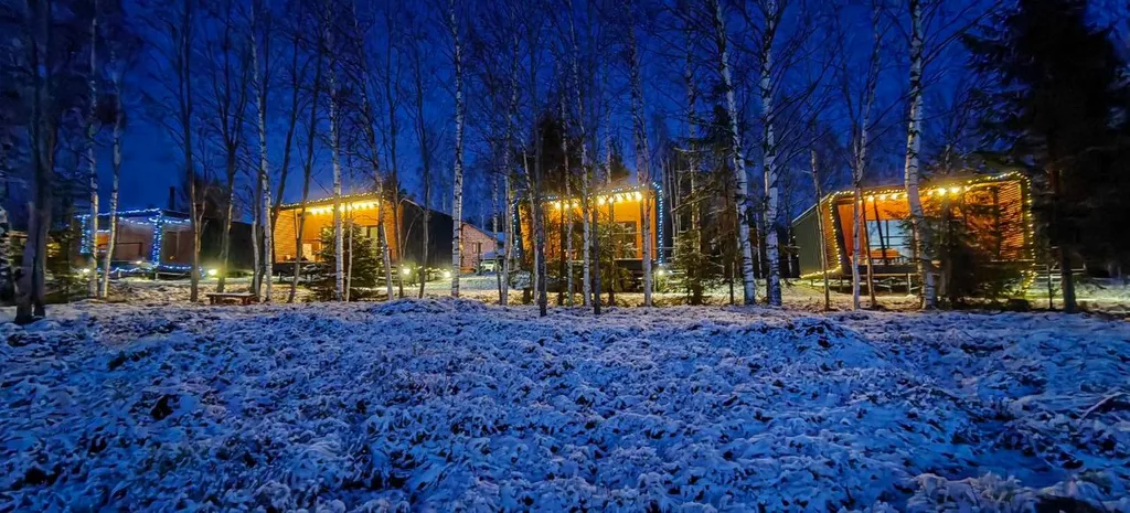 Коттедж 2-комнатный Дом — Ольшаники