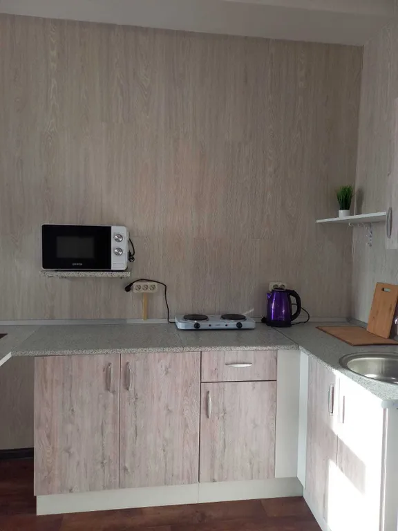 Уютная квартира — аренда посуточно в Электросталь