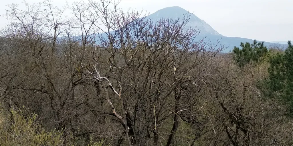 Уютная квартира в центре курортной зоны