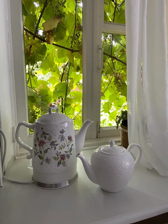 Уютный дом у реки в стиле прованс