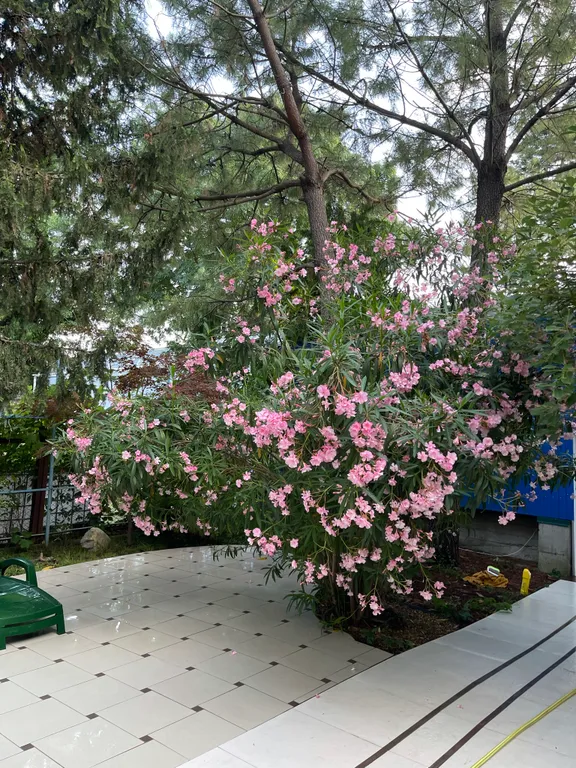 Дом и море через дорогу