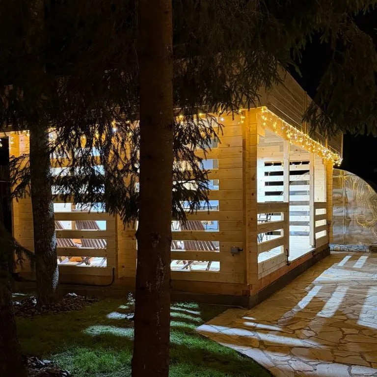 Сфера в сосновом лесу