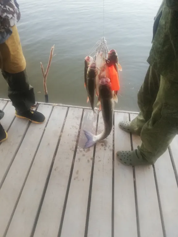 Дом для рыбалки и отдыха на берегу Астрахань