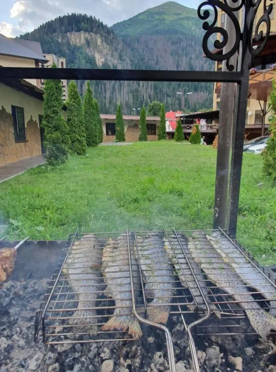 Апартаменты с панорамными видами на горы и лес в центре