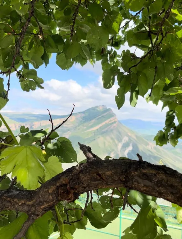 Уютный домик аквамарин у водопада и леса