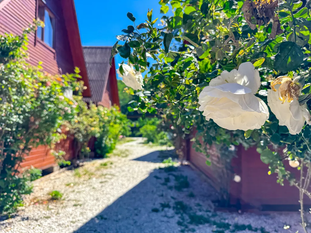 Эко-дом Южная Америка