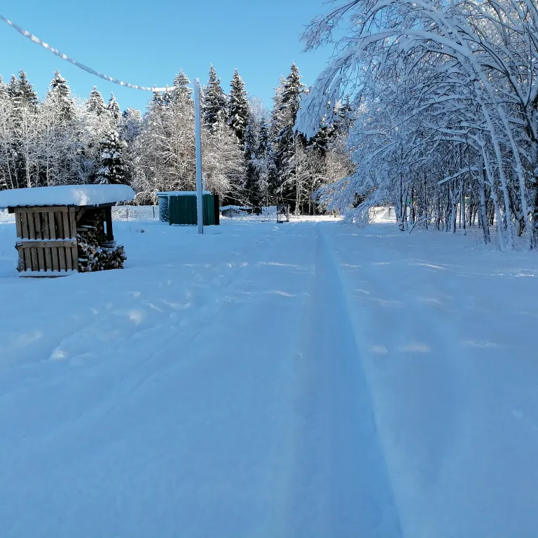 Новый дом с сауной возле леса