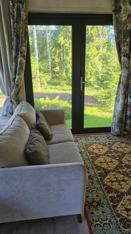 Проснуться в лесу