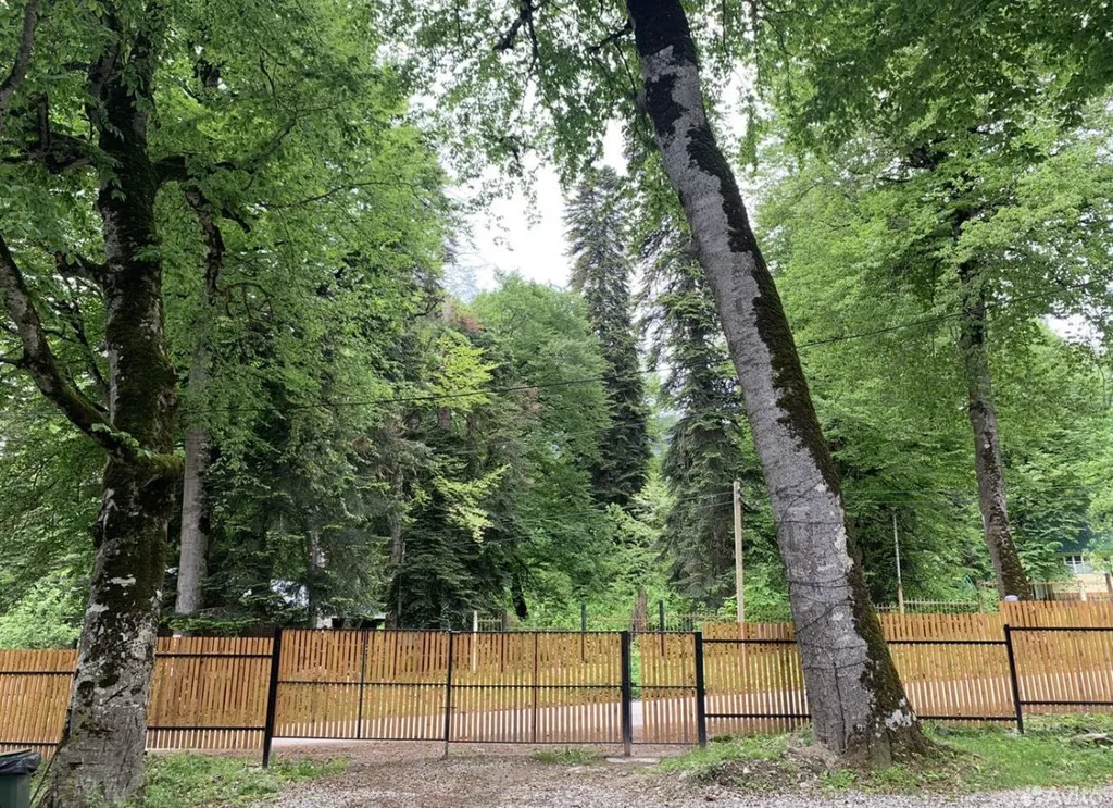 Коттедж Домики в лесу Hill Bee — Архыз