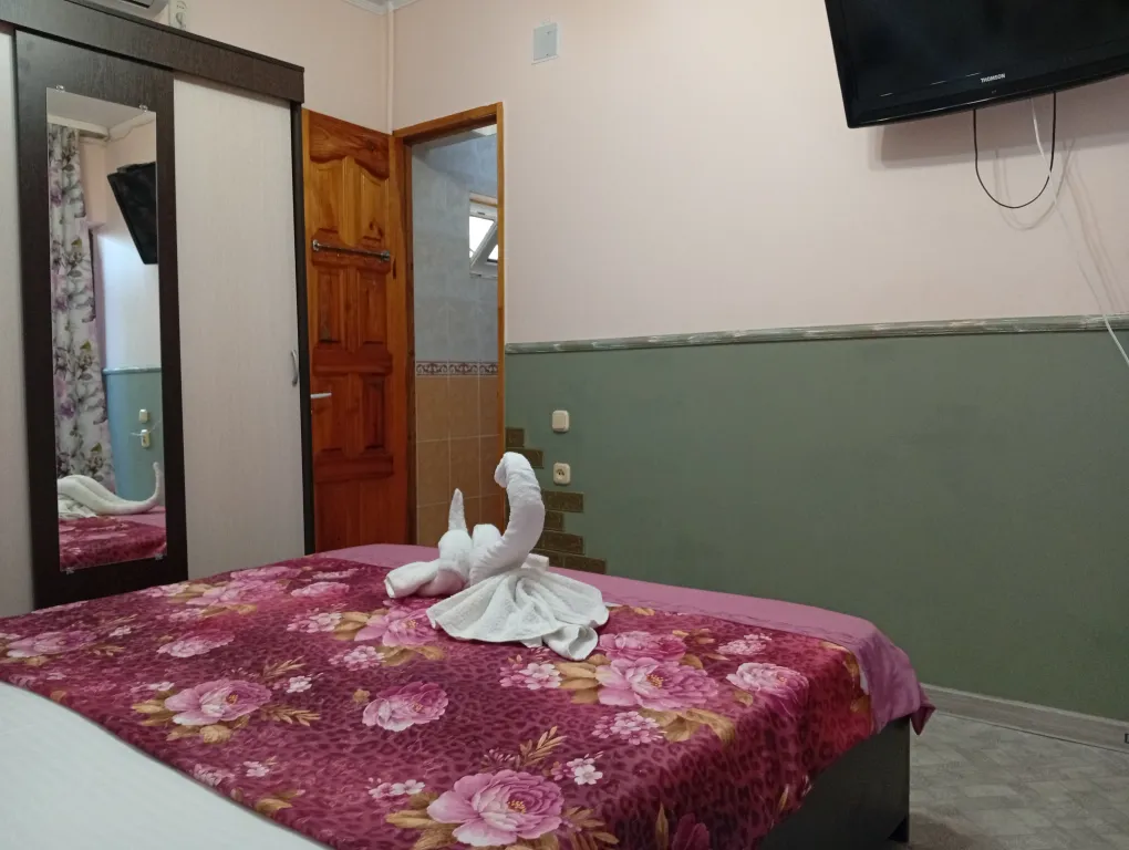 Комната с удобствами с 1 двуспальной или 2 односпальными кроватями