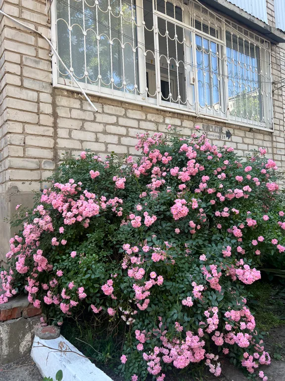 Уютная стильная квартира со всем необходимым