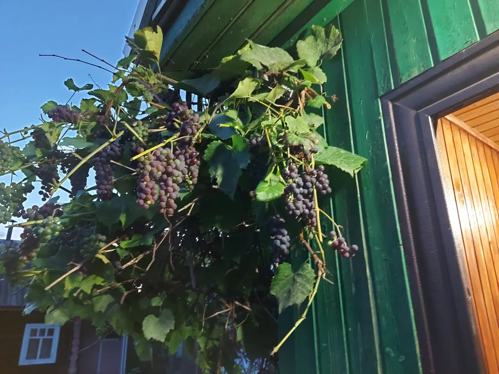 Домик на природе