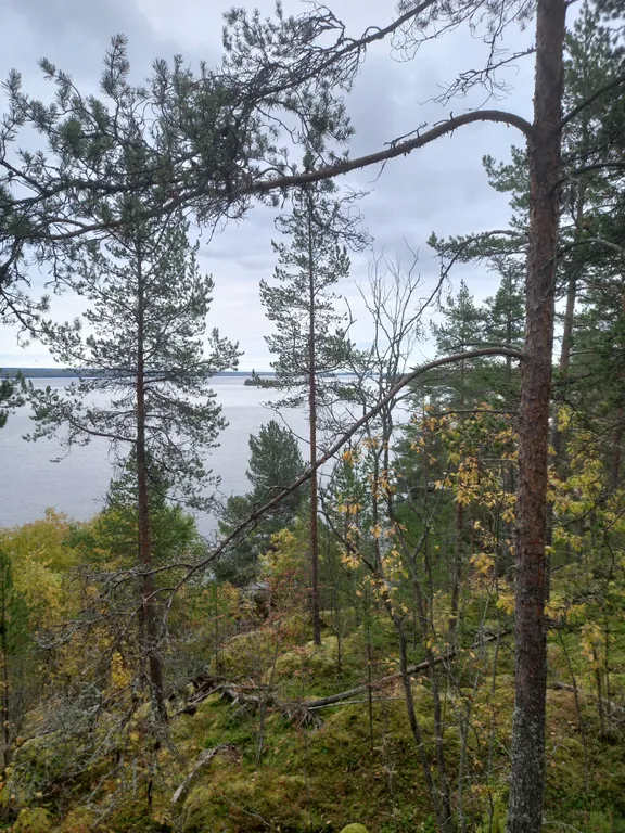 Коттедж Дом в окружении леса и скал — Мережнаволок