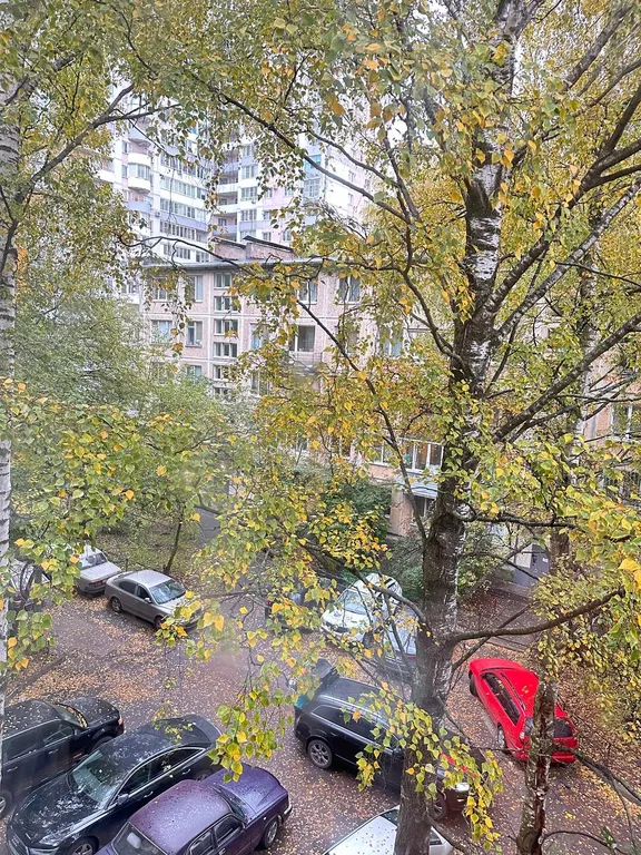 Квартира Приятная квартира — Санкт-Петербург