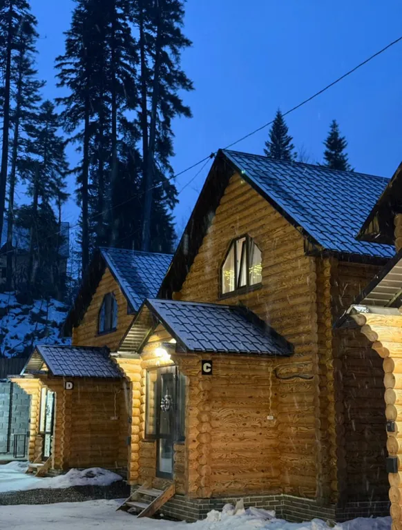 Коттедж класса люкс — аренда посуточно в Домбай