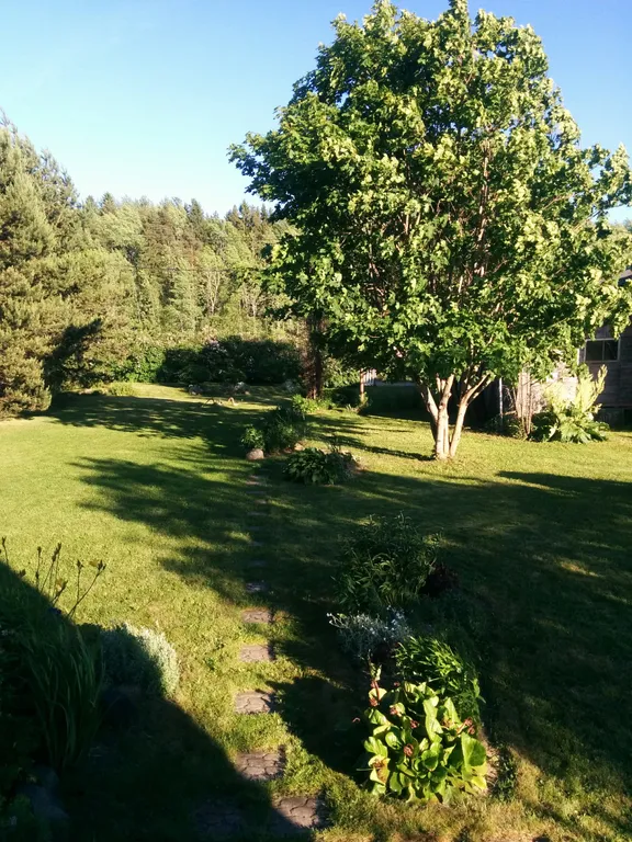 Коттедж Гостевой дом Илму с баней — Нижние Виданы